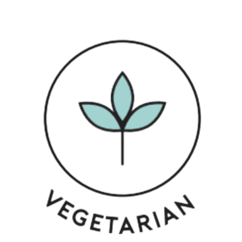 vegetarian_icon_74e56778-0ae1-4657-8aa9-6b41f9539f06.png