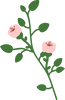 brain flowers